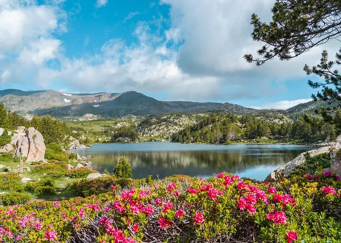 Francecomfort - L'espinet Aldeamento Turístico