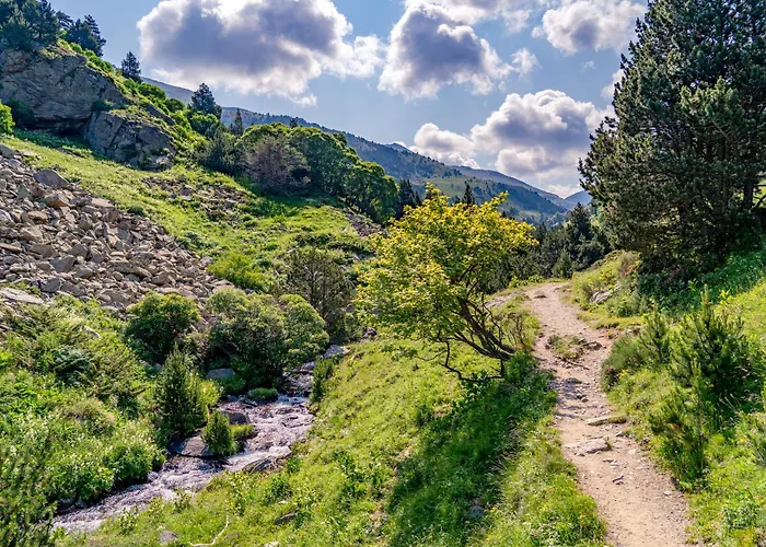 Francecomfort - L'espinet